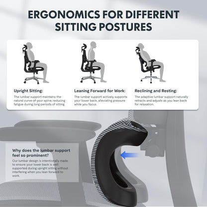 FLEXISPOT ErgoX Ergonomischer Bürostuhl mit Fußstütze – 5D-Rückenlehne, 3D-Armlehnen, Atmungsaktiv
