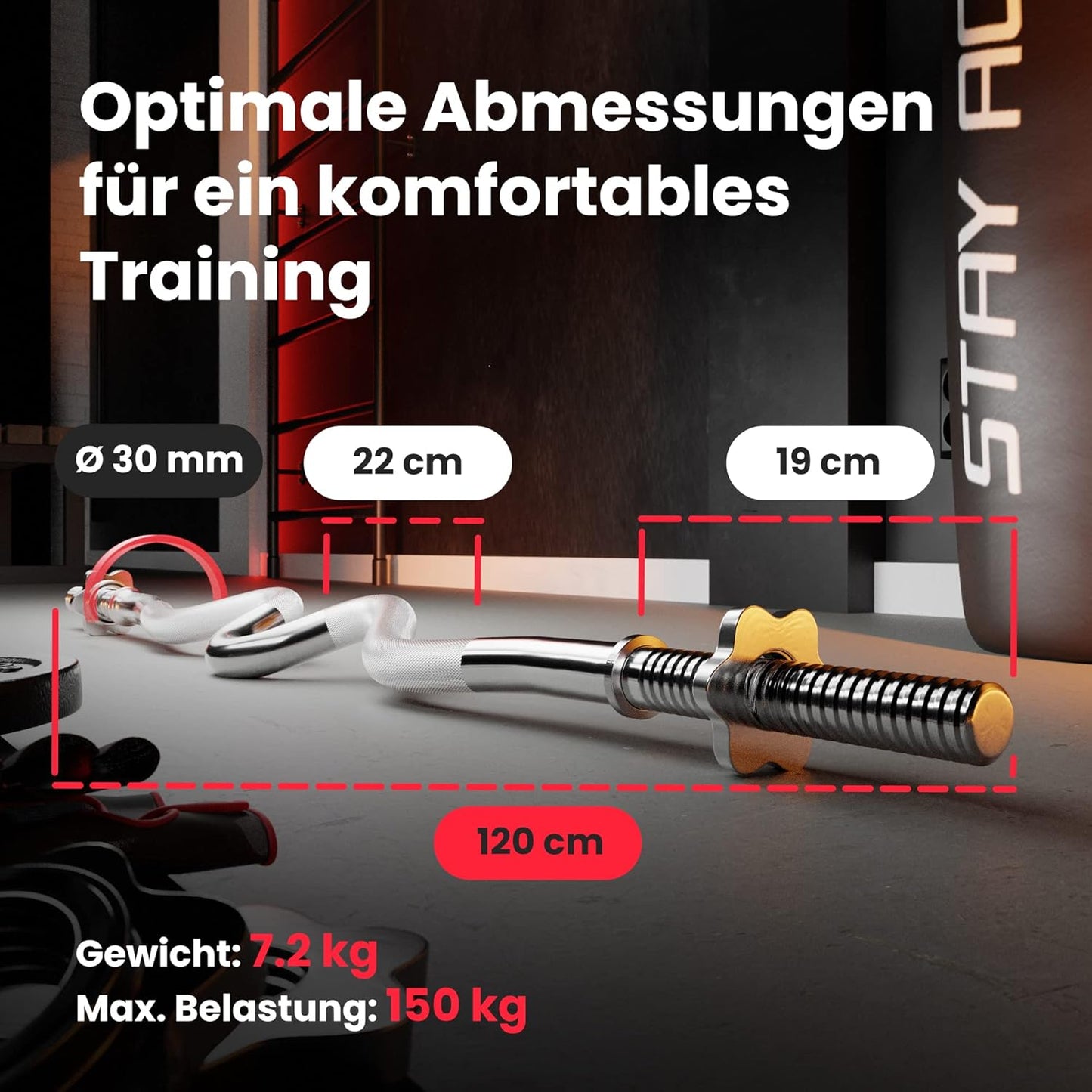 Klappbare Hantelbank mit Gewichten, Curlpult, Butterfly und Beincurler.